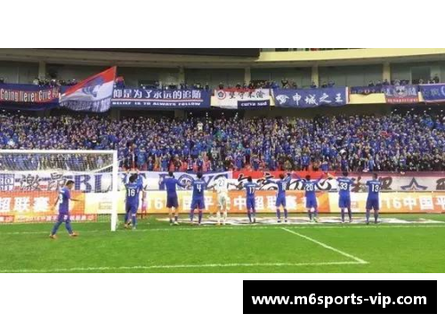 足球之星：28位球员的辉煌征程
